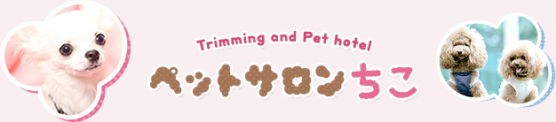 Trimming and Pet hotel ペットサロン ちこ